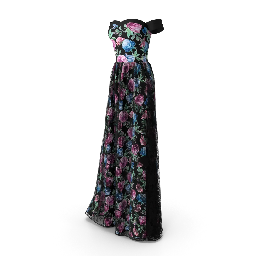 Black Women's Gown 2