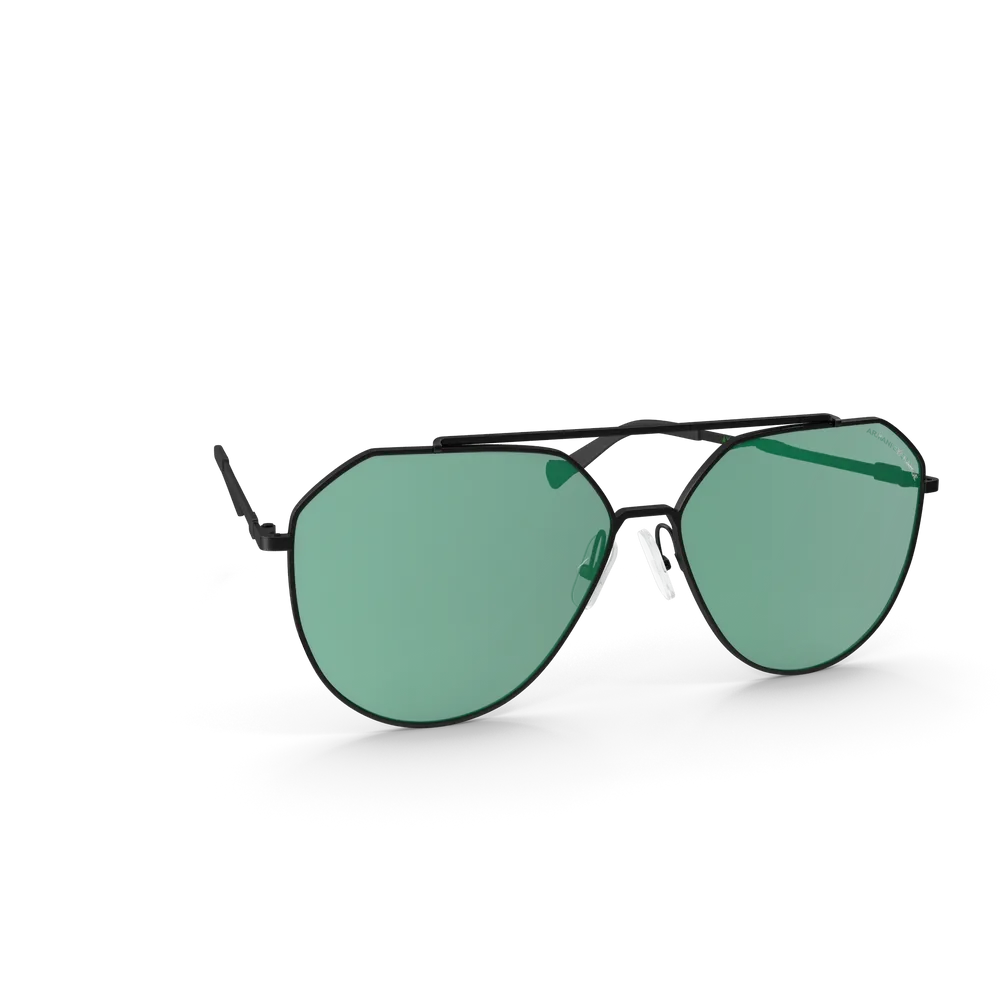 Classic Sunglasses 5